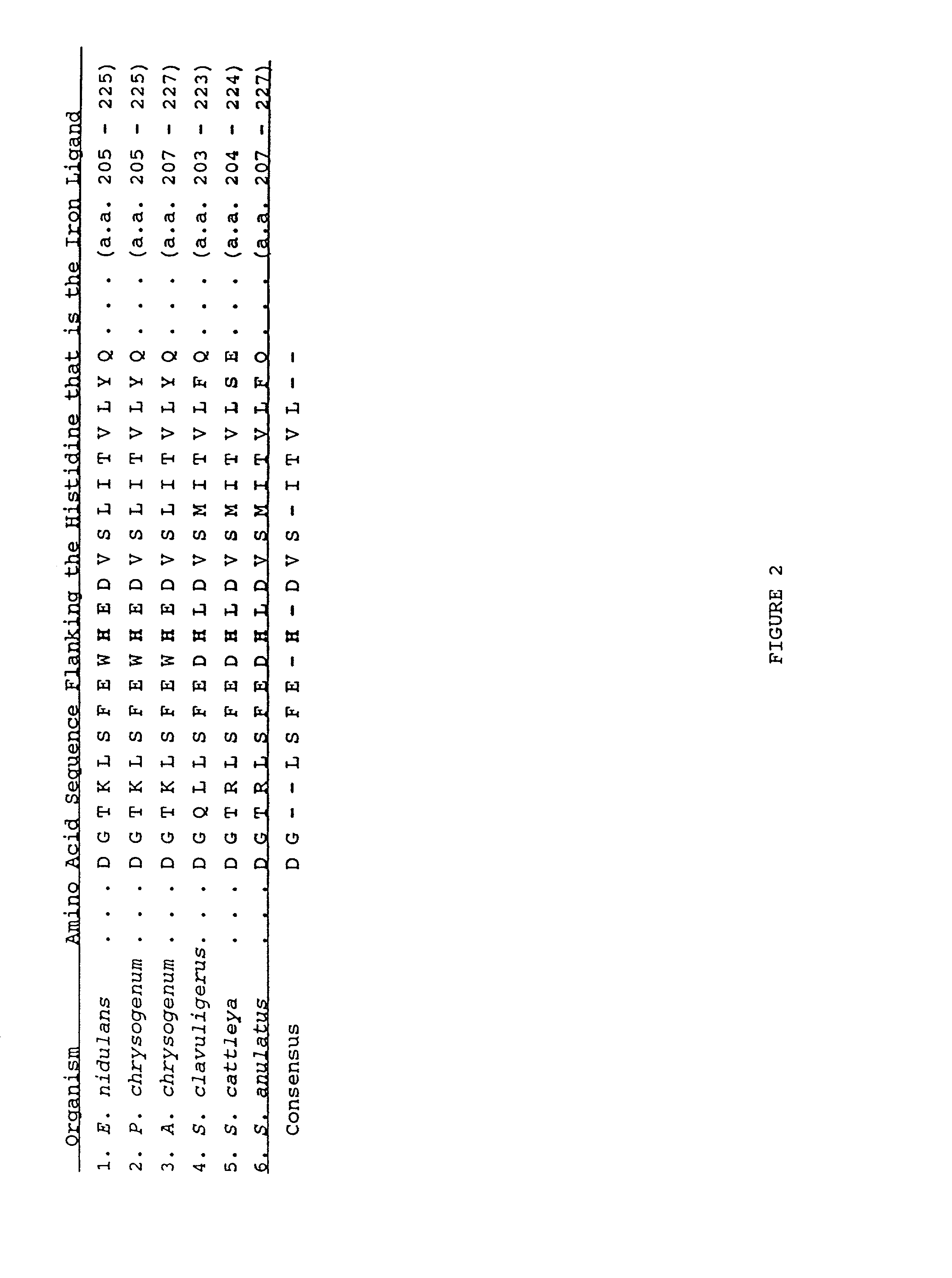 Modified synthetases to produce penicillins and cephalosporins under the control of bicarbonate