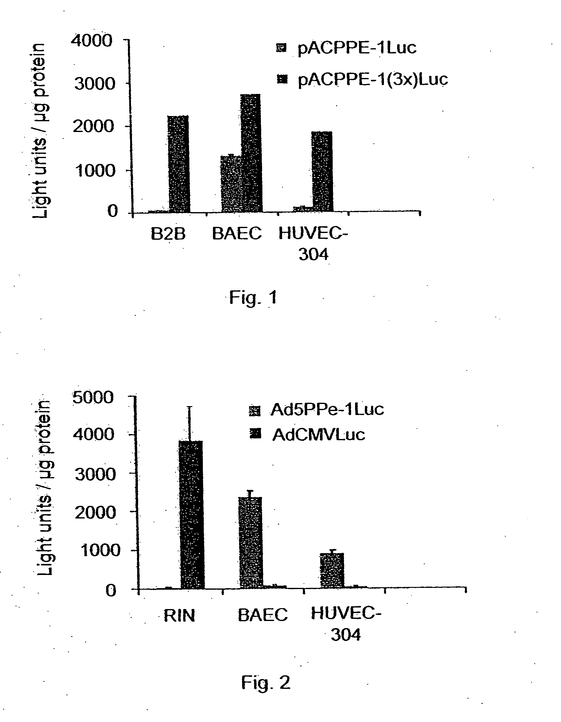 Promoters exhibiting endothelial cell specificity and methods of using same