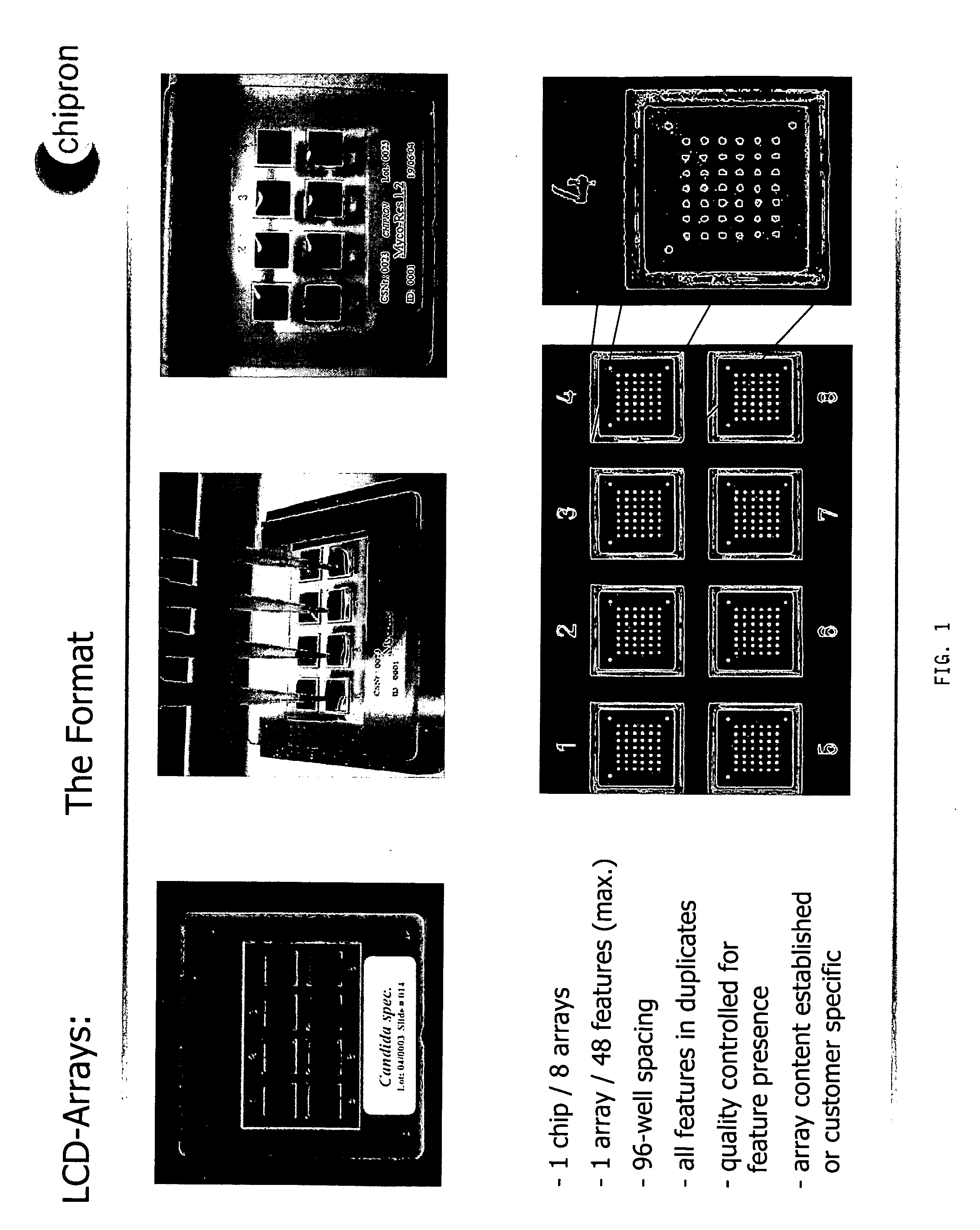 Combination comprising biochip and optical detection device