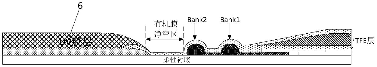 Organic light-emitting display panel and display device