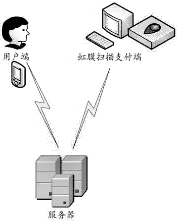 Iris payment system