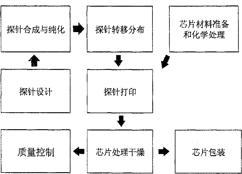 Human papilomavirus typing gene chip detecting system