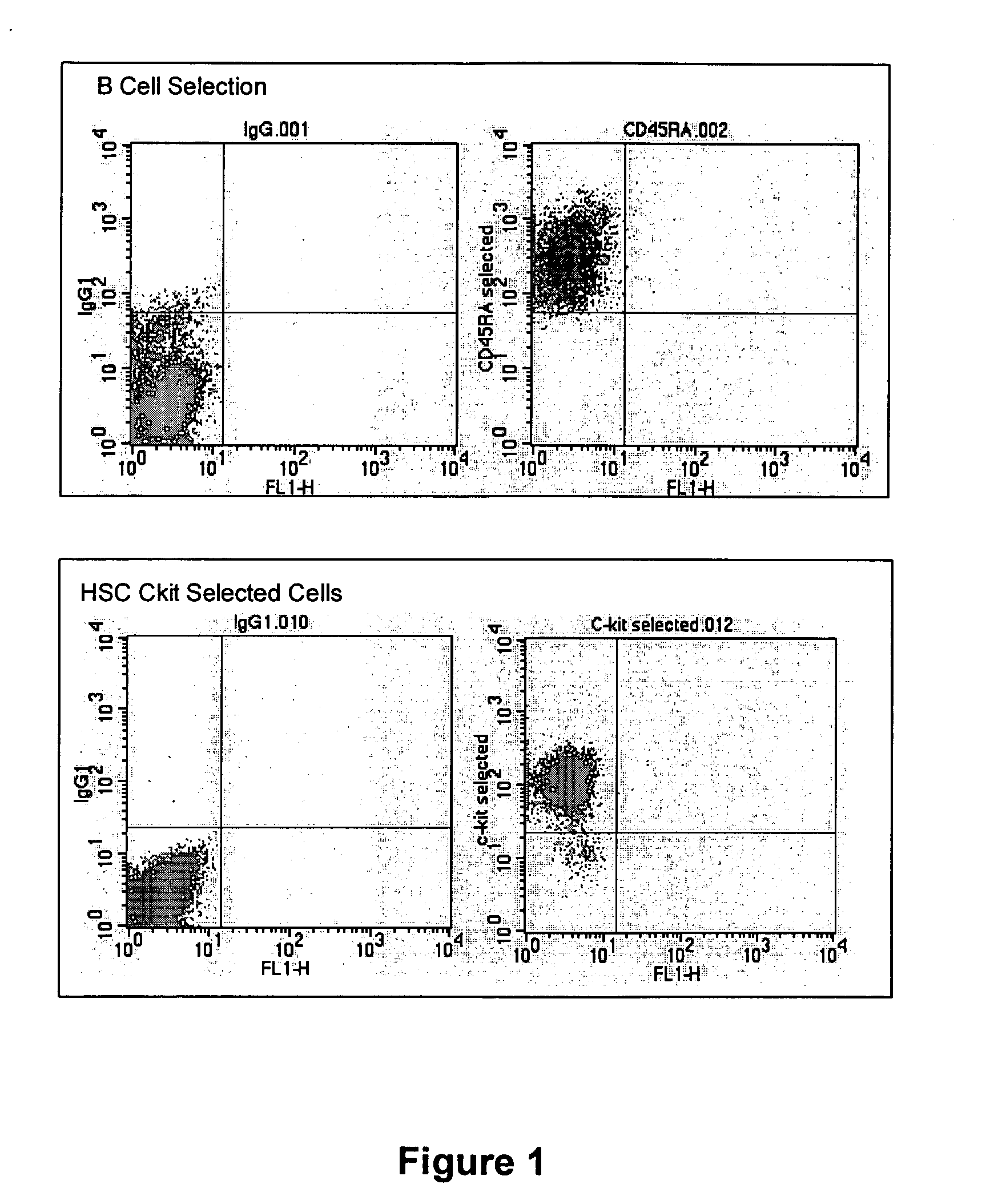 Recovery of tissue function following administration of B cells to injured tissue