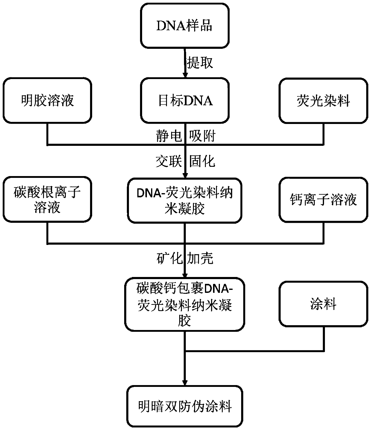 Preparation method of calcium carbonate coated DNA-fluorescent dye composite nano gel dual anti-counterfeiting coating