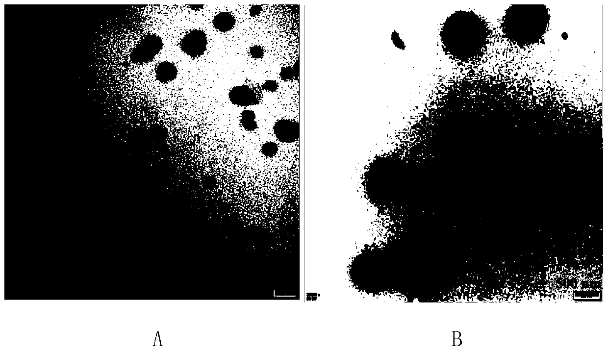 Preparation method of calcium carbonate coated DNA-fluorescent dye composite nano gel dual anti-counterfeiting coating