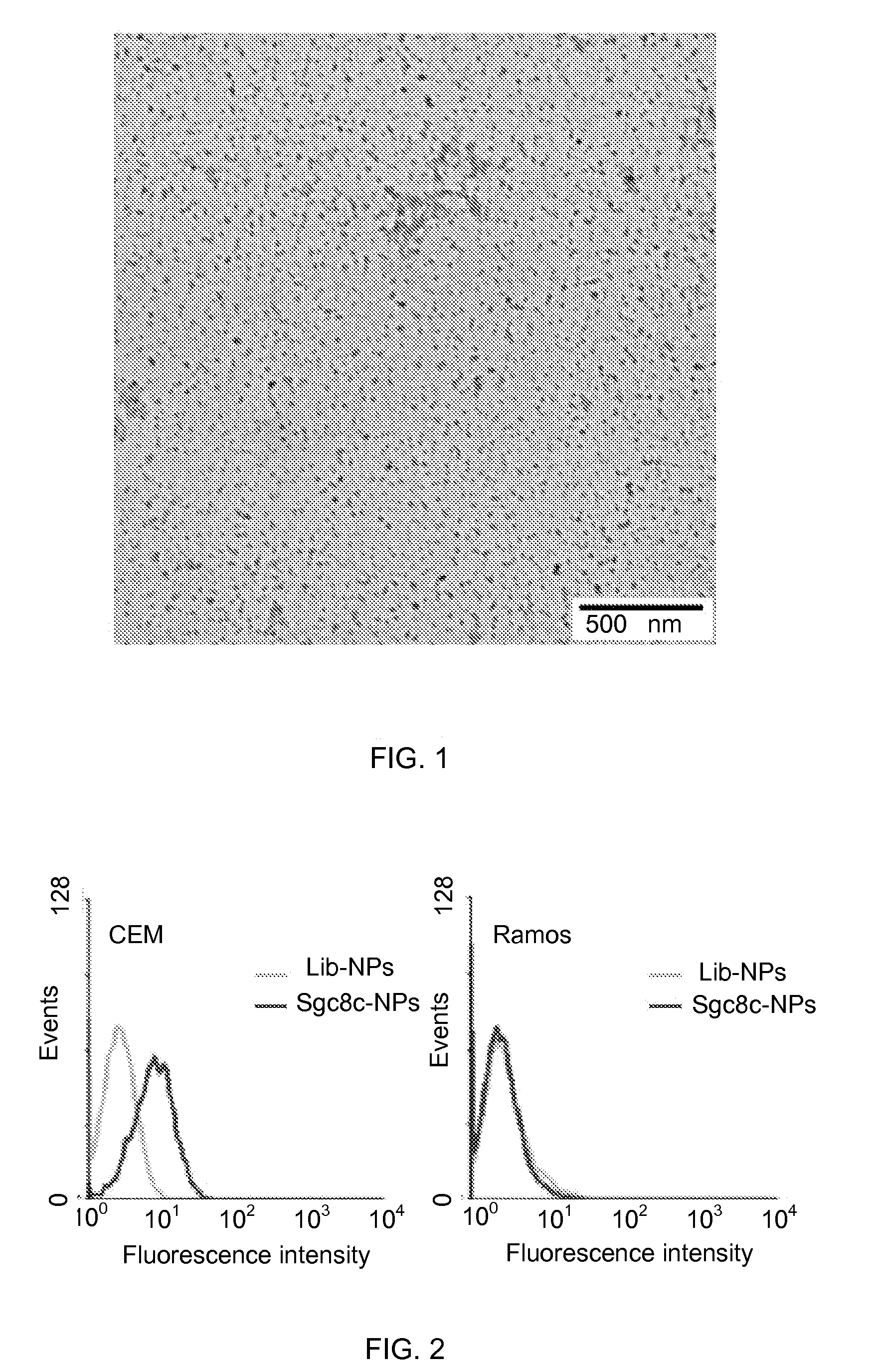 Chitosan-based nanoparticles and methods for making and using the same