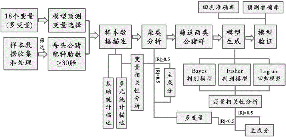 Mathematic model for evaluating fertility of the Large White, and establishment method thereof