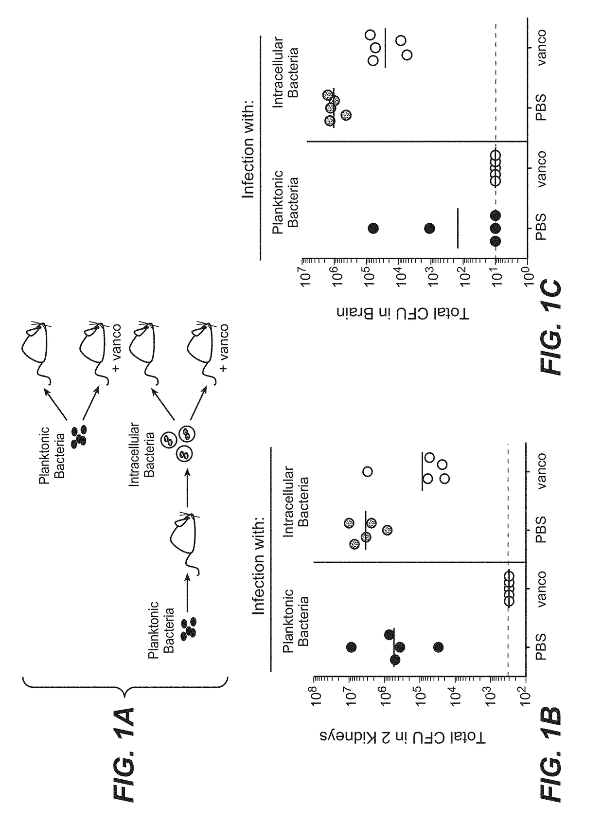 Anti-staphylococcus aureus antibody rifamycin conjugates and uses thereof