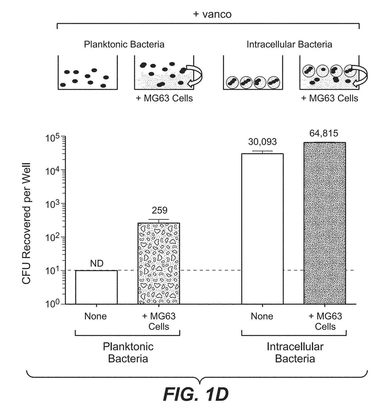 Anti-staphylococcus aureus antibody rifamycin conjugates and uses thereof