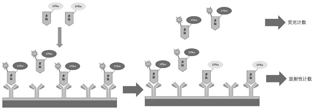 Fluorescence-radioactivity combined in-vitro targeted screening method