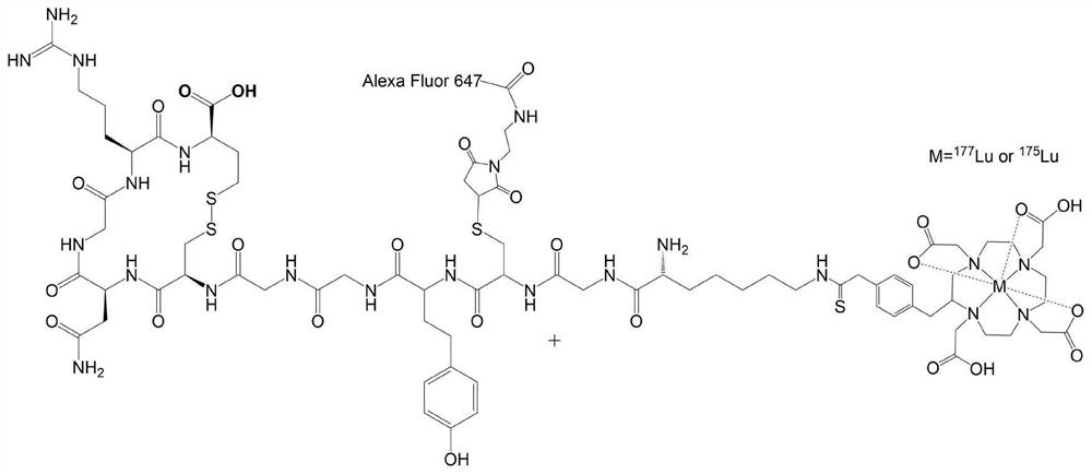 Fluorescence-radioactivity combined in-vitro targeted screening method