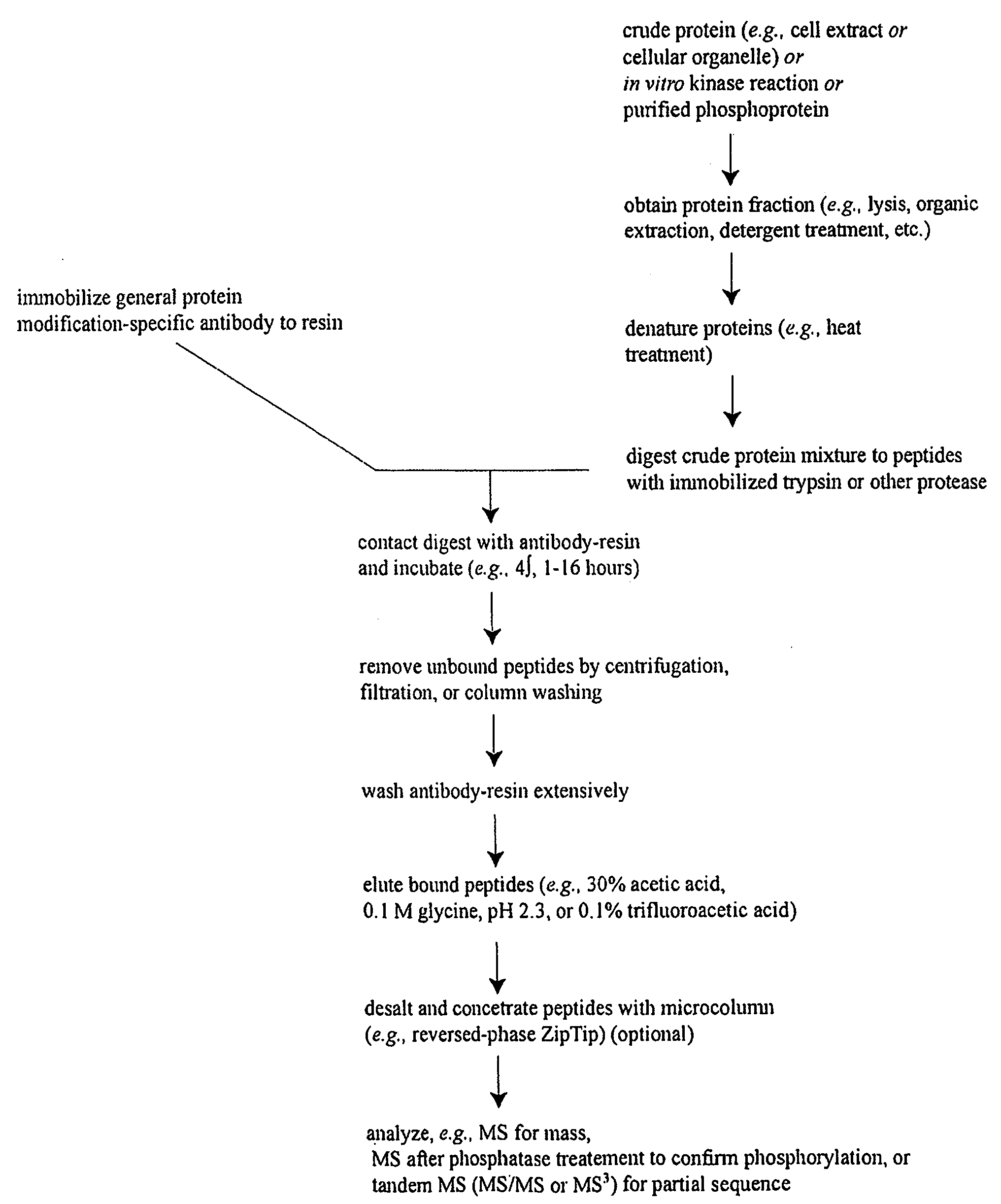 Reagens for the Detection of Protein Acetylation Signaling Pathways