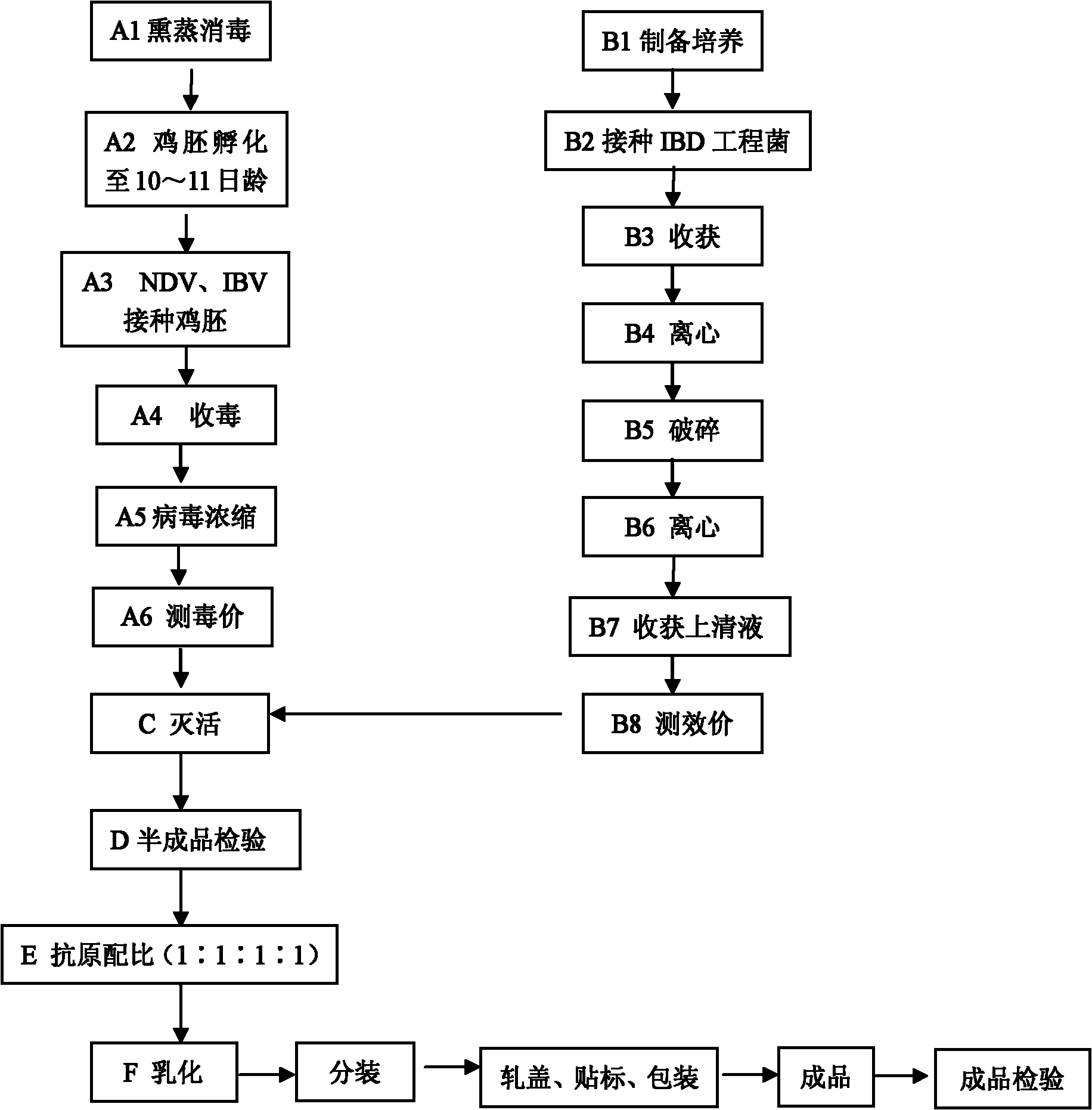 Method for producing triple inactivated vaccine for newcastle disease, infectious bronchitis and infectious bursal disease