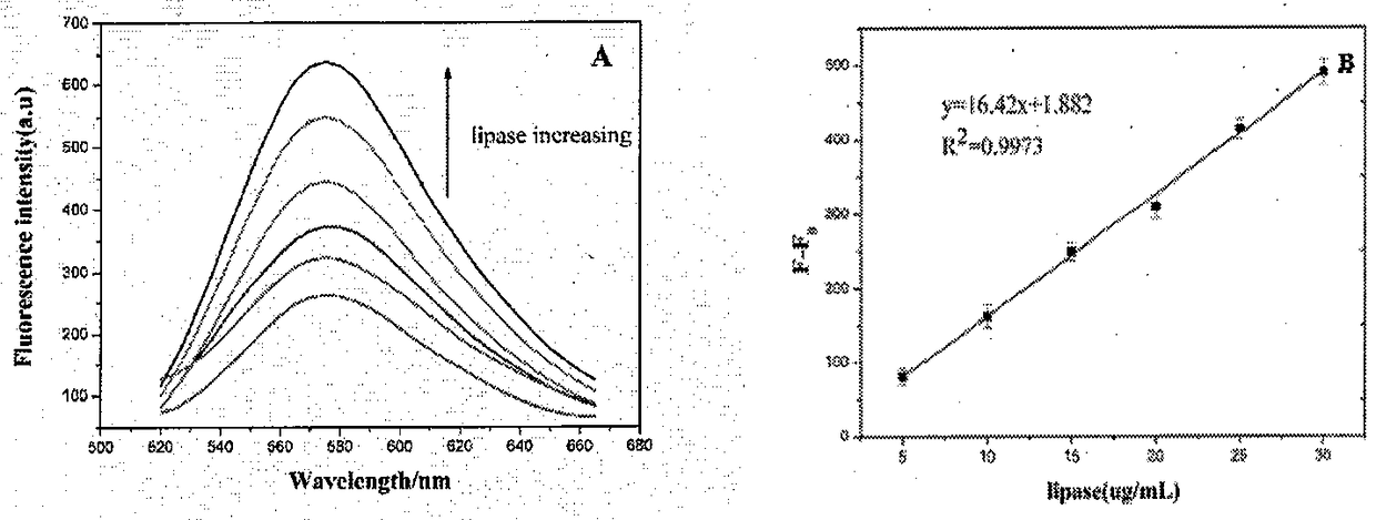 An analysis method for detecting lipase activity based on gold nanocluster fluorescence enhancement