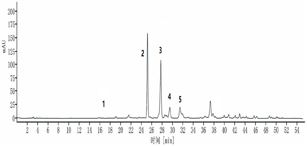 Detection method of rose polyphenol