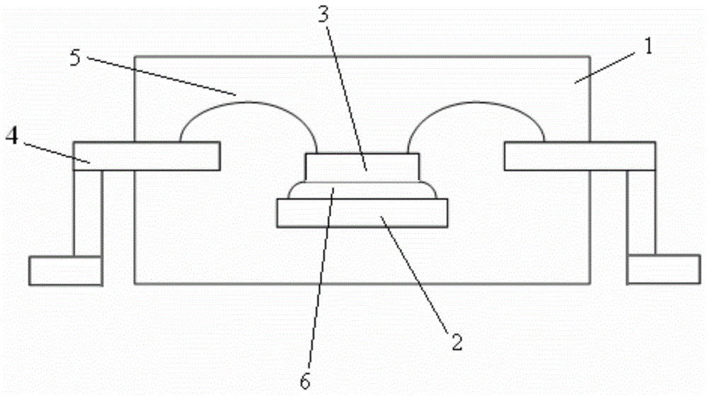 Lead frame type packaging body