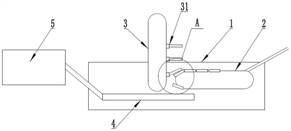 Ice coating device for food preservation