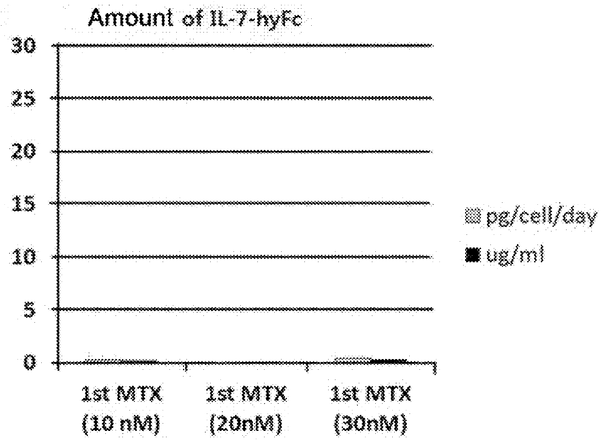 Modified interleukin-7 protein and uses thereof