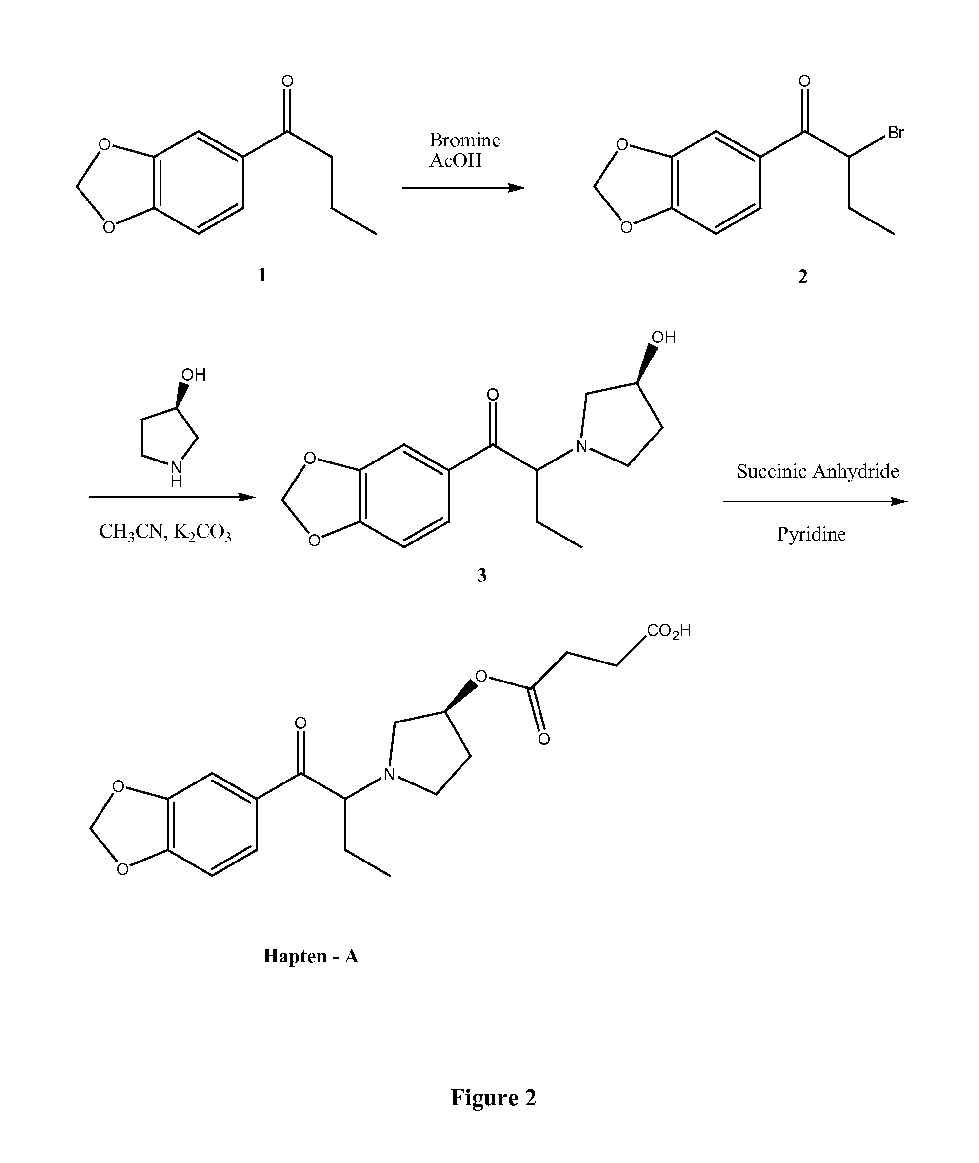 Immunoassay for pyrrolidinophenones