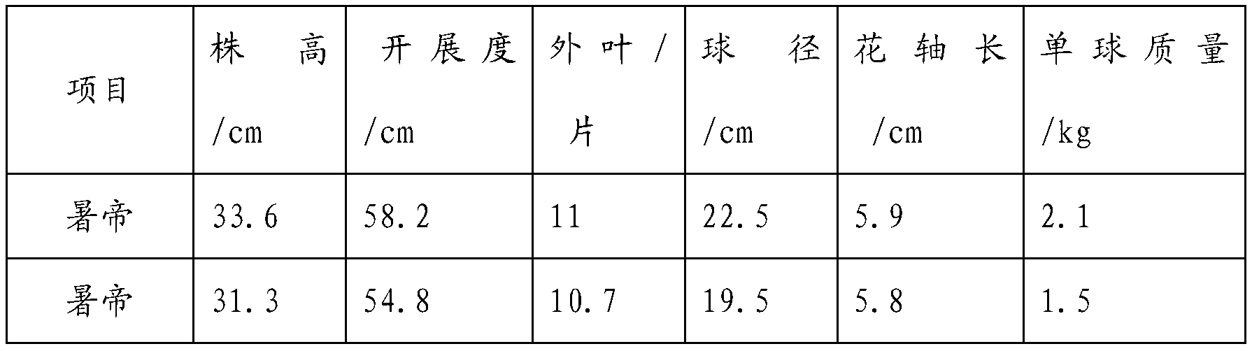 Method of cultivating early-maturing common head cabbage strong seedlings