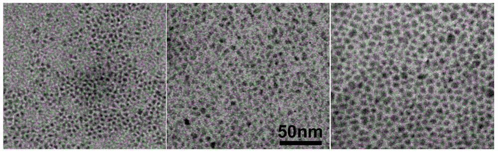 Fluorescent quantum dot for magnetic resonance imaging, and preparation method thereof