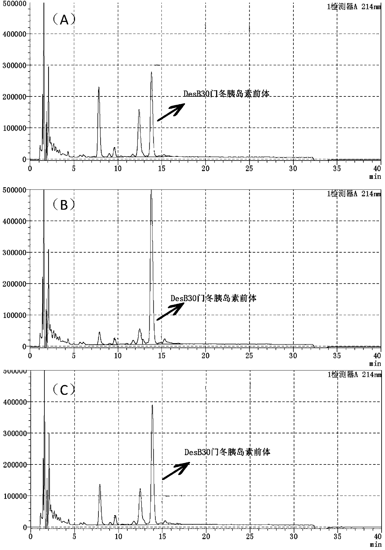 Method for preparing insulin or insulin derivative precursor