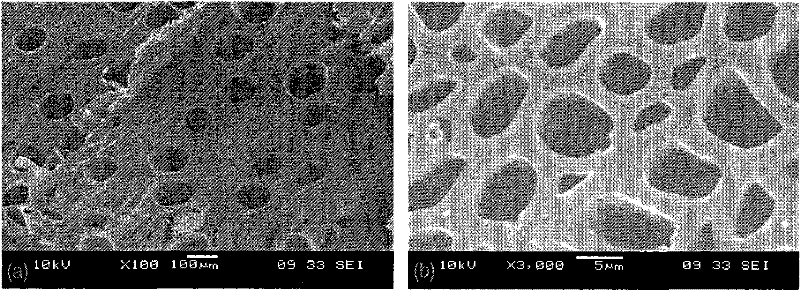 A kind of preparation method of eucalyptus relic Fe2O3/Fe3O4 composite heavy metal adsorbent