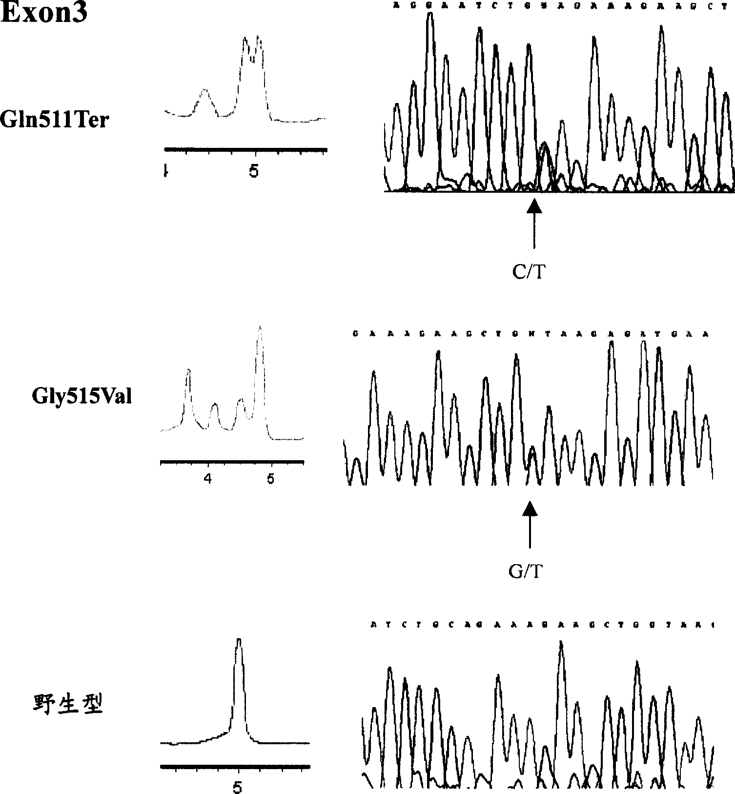 Gene mutation type and gene order surveying method