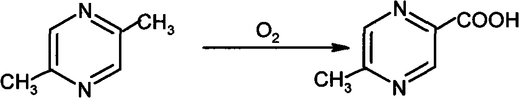 Preparation method of 5-methylpyrazine-2-carboxylic acid