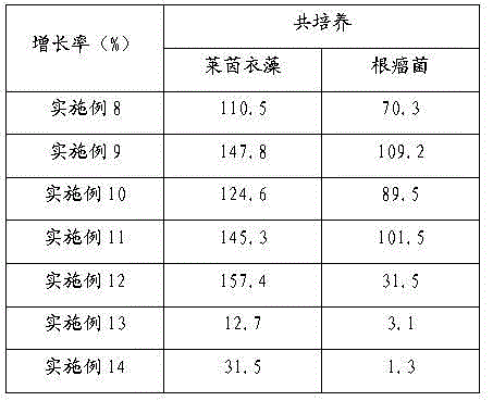 Method for mutually promoting growth of Bradyrhizobium japonicum and Chlamydomonas reinhardtii