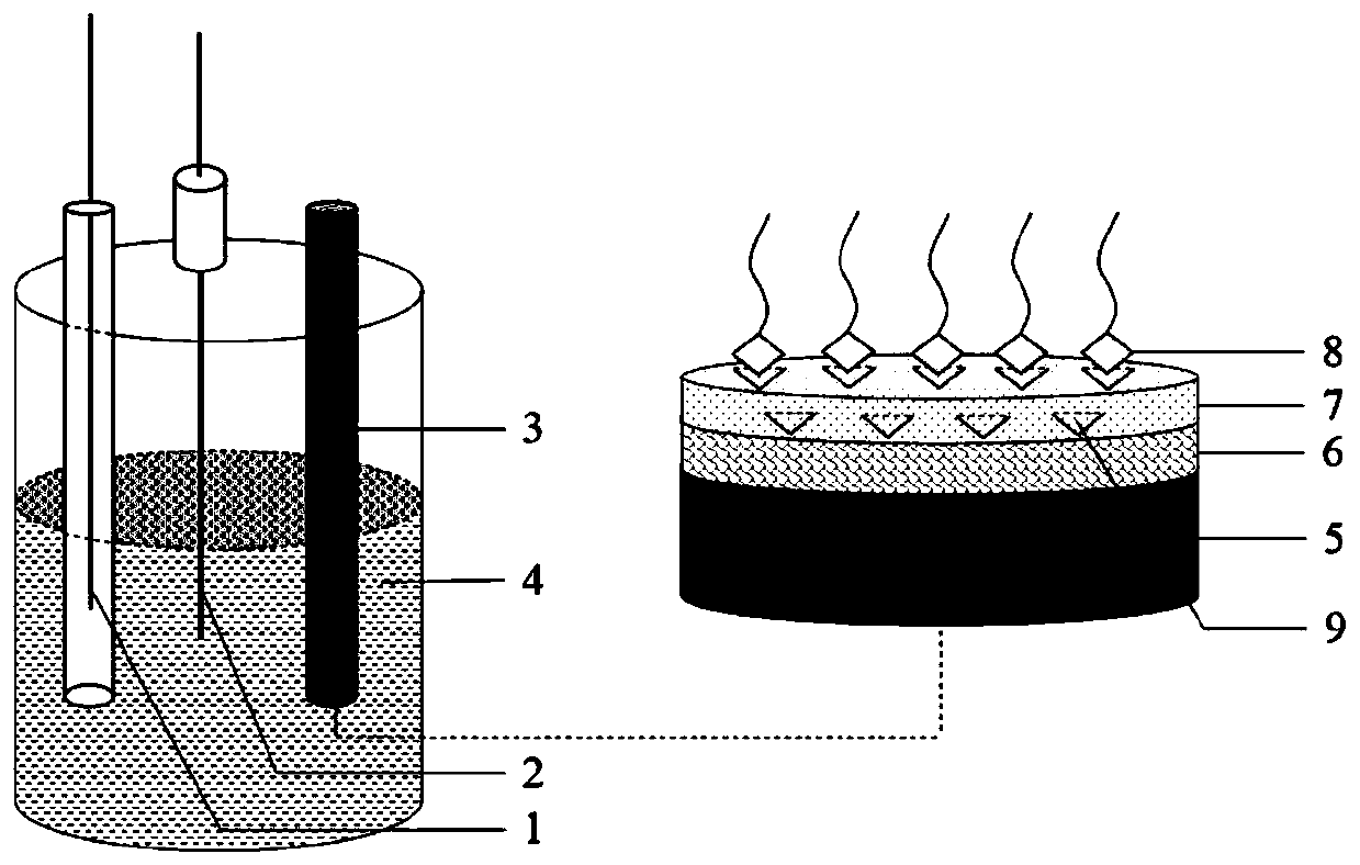 L-Glutamic acid (L-Glu) detection method and sensor based on molecularly imprinted polymer (MIP) membrane modified electrode