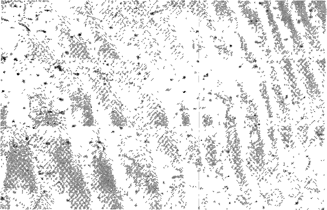 Molybdenum-titanium composite iron-chromium-cobalt permanent magnetic alloy and deformation processing technique