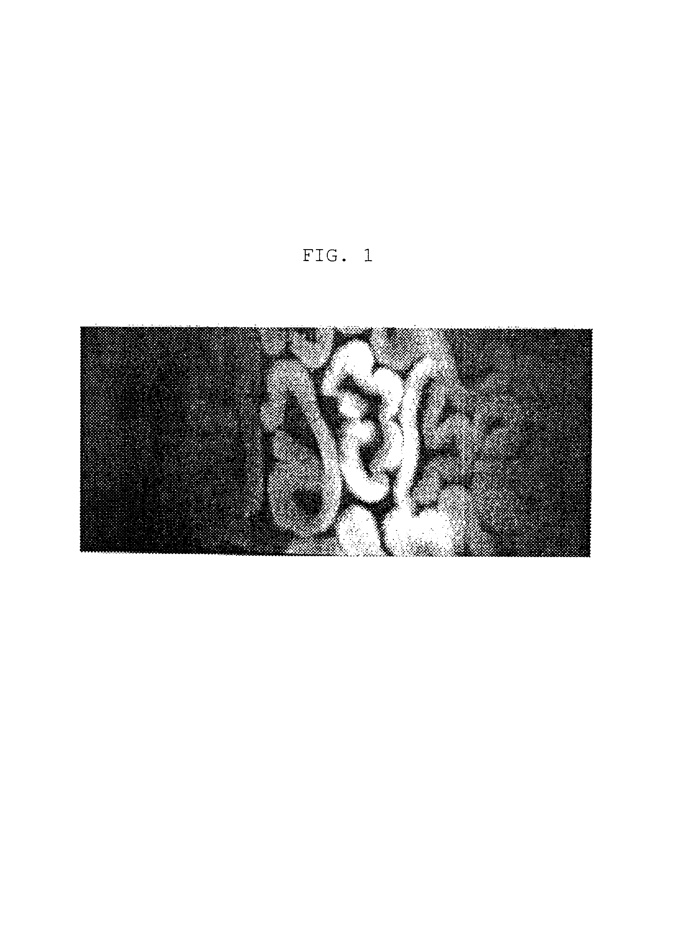 Method for producing hollow rayon fibers