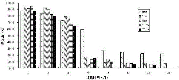 Tillage method for controlling aegilops tauschii as malignant weed in wheat fields