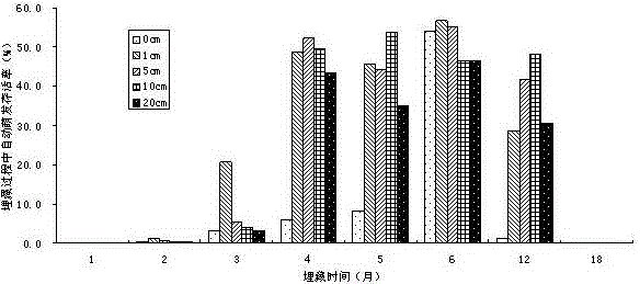 Tillage method for controlling aegilops tauschii as malignant weed in wheat fields