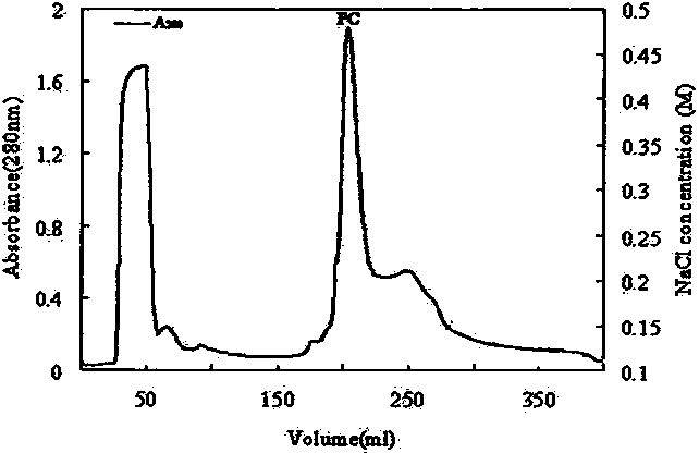 Preparation method of high-purity phycocyanin