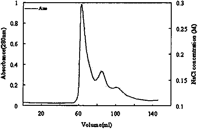 Preparation method of high-purity phycocyanin