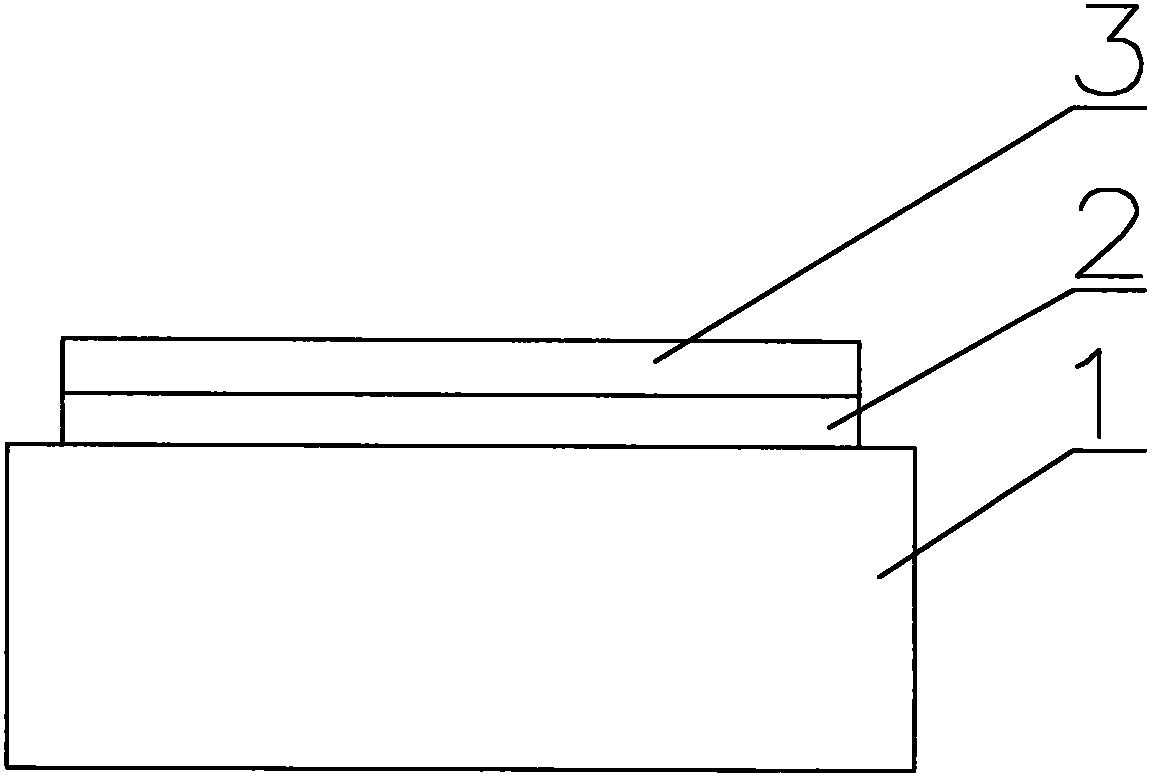 Apparatus for applying collagen to local portion of surface of product