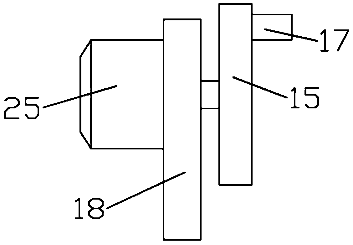 Pharmaceutical extraction device with swing structure