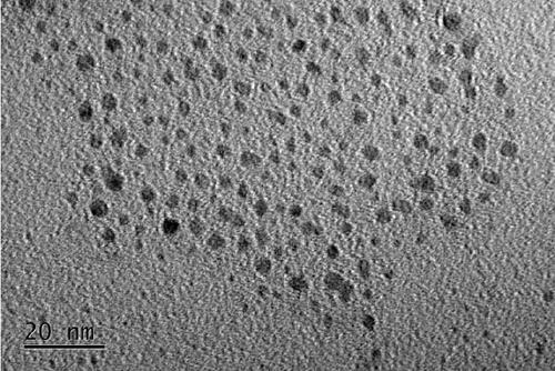 Fluorescent carbon dot for nuclear staining, and application and application method of same to nuclear imaging