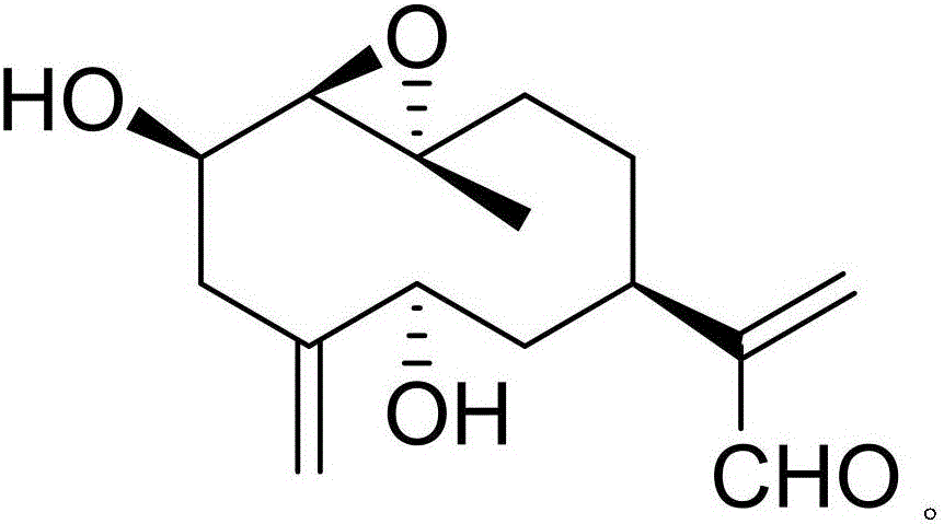 Pharmaceutical composition of benzbromarone and application of pharmaceutical composition in biological medicine