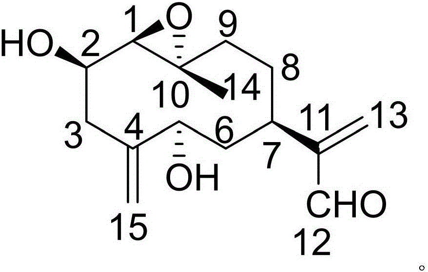 Pharmaceutical composition of benzbromarone and application of pharmaceutical composition in biological medicine