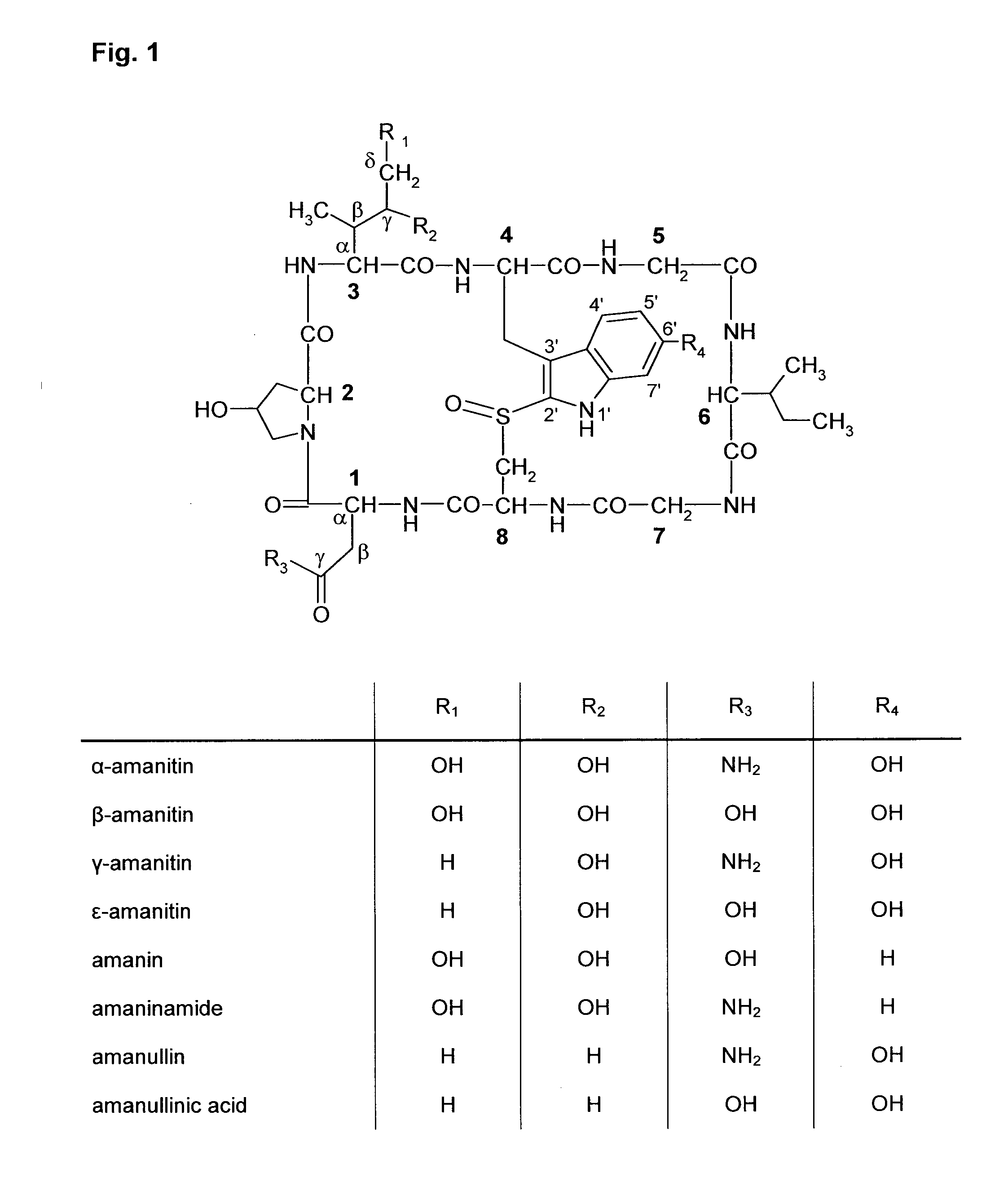 Amatoxin derivatives