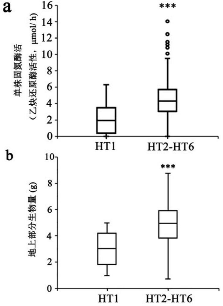 R gene for controlling soybean-rhizobium matching property as well as protein and application thereof