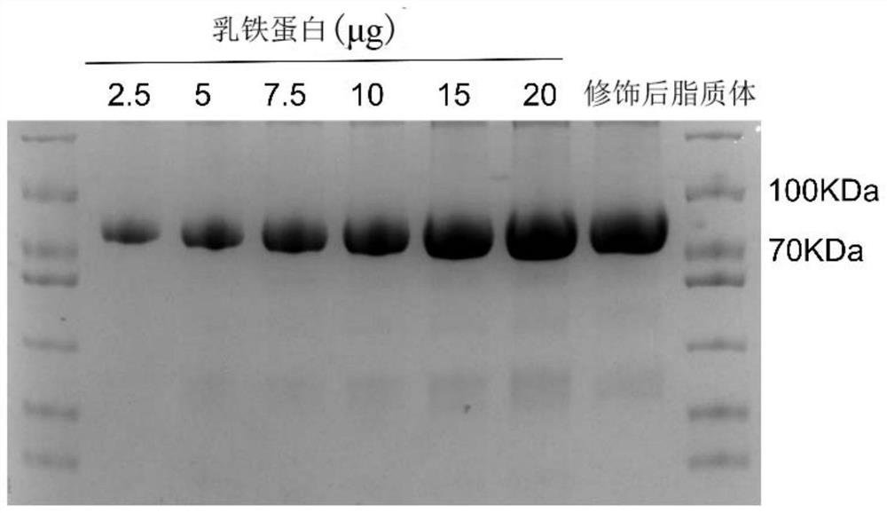 Lactoferrin modified patchouli alcohol liposome as well as preparation method and application thereof