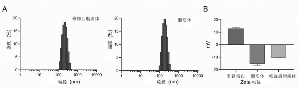 Lactoferrin modified patchouli alcohol liposome as well as preparation method and application thereof