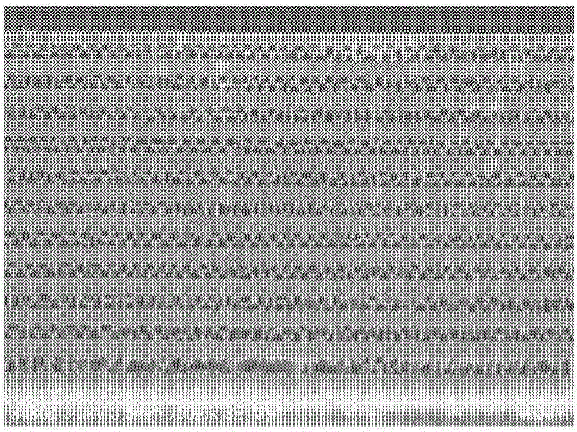 GaN-based VCSEL chip based on porous DBR and preparation method