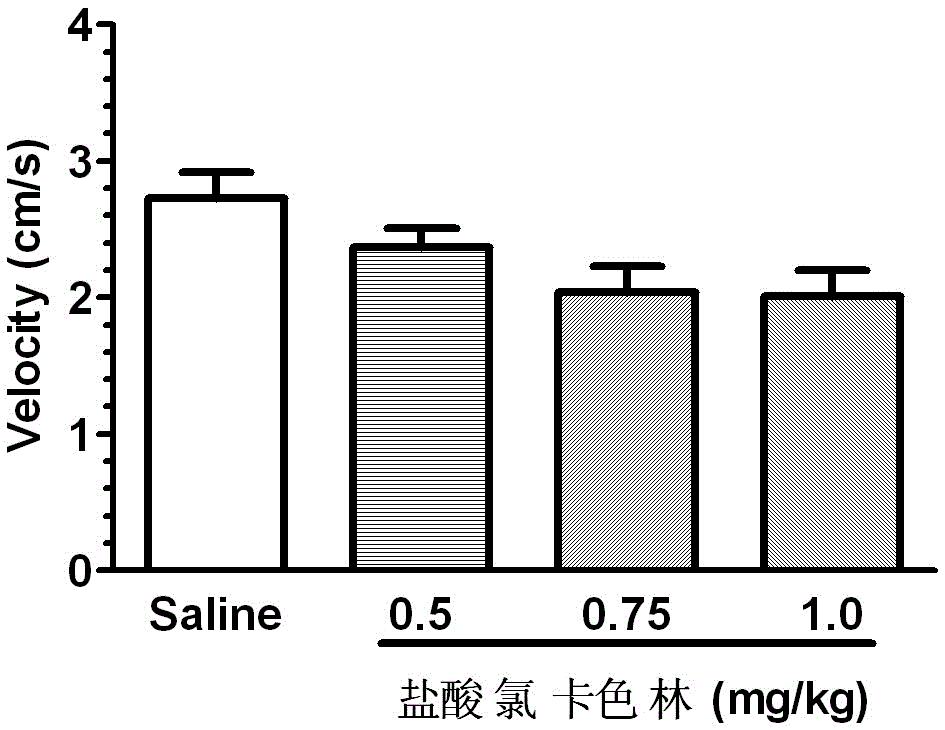 Application of lorcaserin hydrochloride in preparation of medicine for suppressing opioid addiction and withdrawal reaction