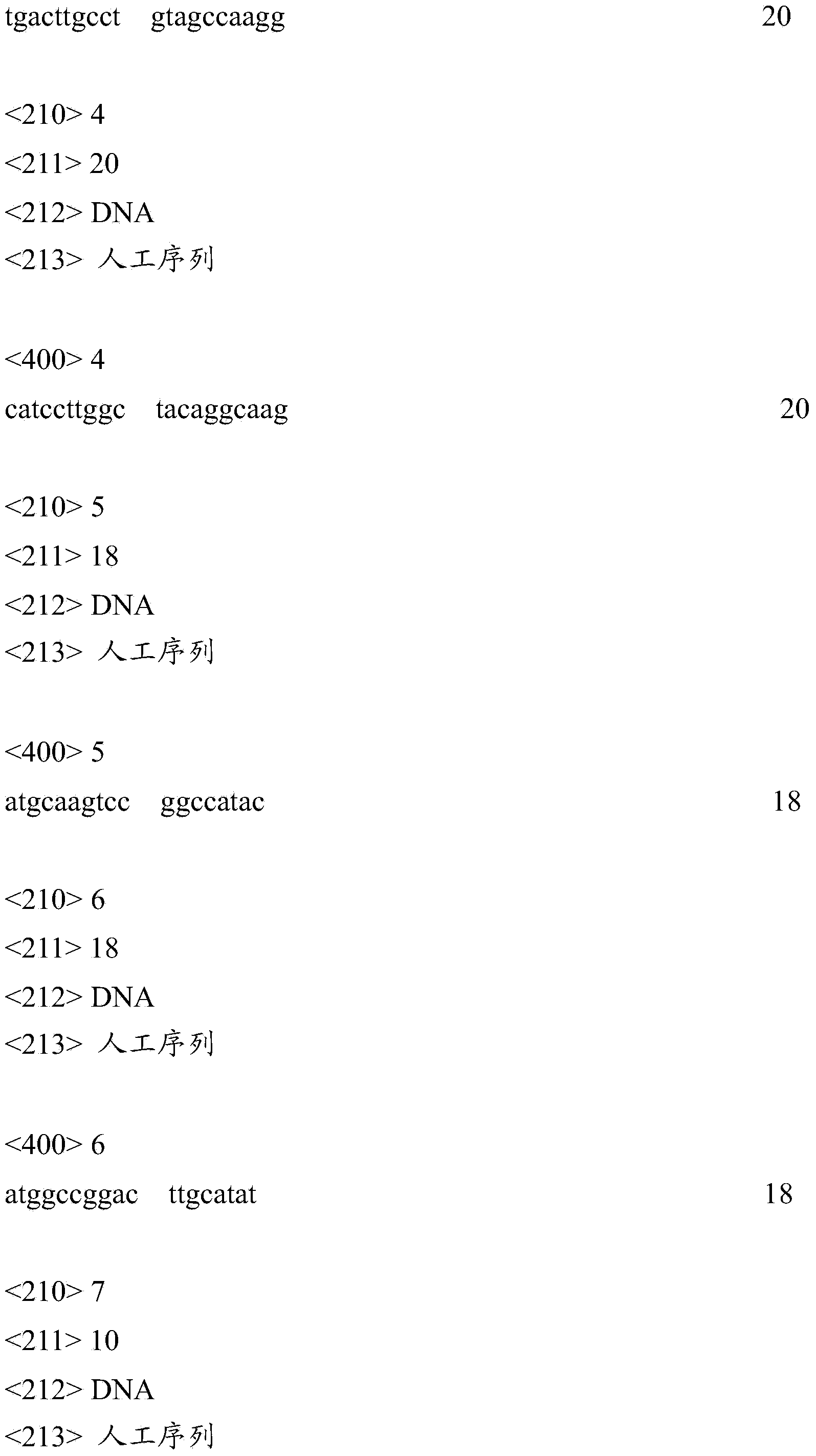 Method for predicting bacterial blight of rice by utilizing miRNA169h genes