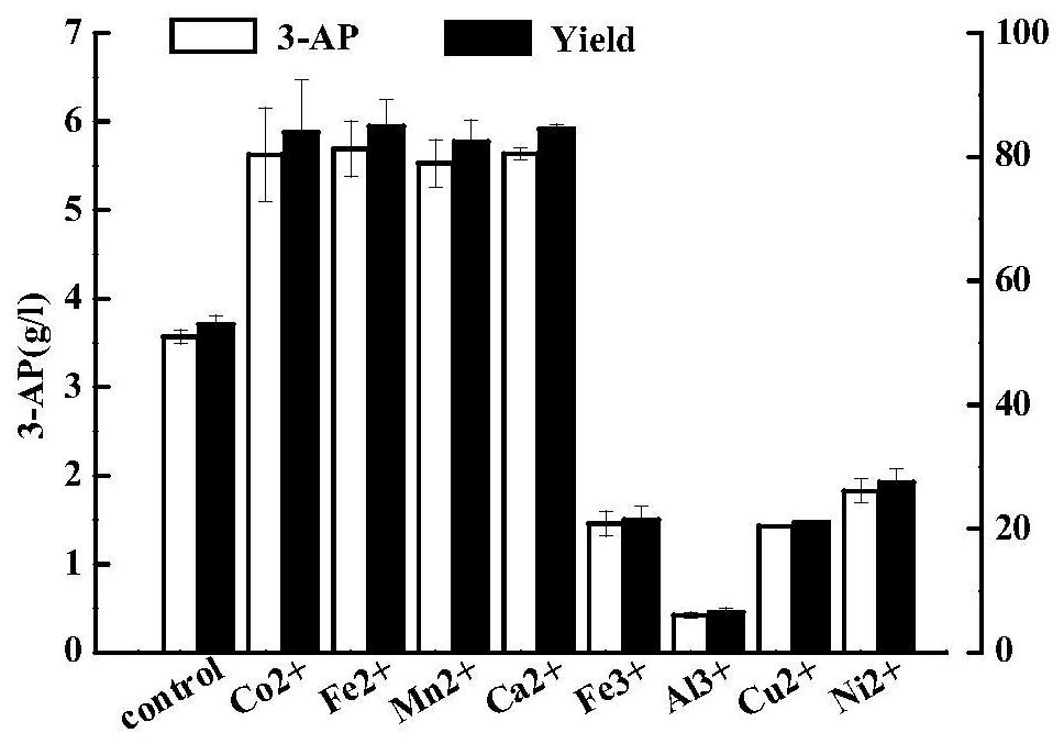 A kind of pand mutant gene, genetic engineering and its application in catalytic production of β-alanine